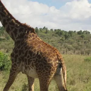 Explore 6 Days Tanzania Budget  Camping  Safari for 6 days with Exciting Africa Holidays and discover unforgettable experiences - Photo 7