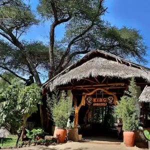 Explore 03 Days  Maasai Mara  Ashnil   Camp Safari for 3 days with Exciting Africa Holidays and discover unforgettable experiences - Photo 3