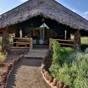 Explore 07 Days Kenya Rhino  Safari & Mombasa Beach Holiday Package for 7 days with Exciting Africa Holidays and discover unforgettable experiences - Photo 7