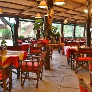 Explore 8 Days Kenya Tembo Safari To Amboseli-Olpejeta -Nakuru and Masai Mara for 8 days with Exciting Africa Holidays and discover unforgettable experiences - Photo 6