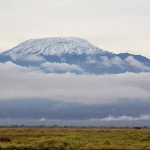 Explore 07 Days Kenya Rhino  Safari & Mombasa Beach Holiday Package for 7 days with Exciting Africa Holidays and discover unforgettable experiences - Photo 10