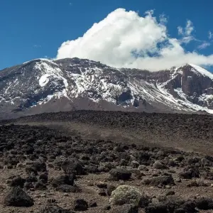 Explore 7 Days Mount  Kilimanjaro Climb - Marangu Route for 7 days with Exciting Africa Holidays and discover unforgettable experiences - Photo 6