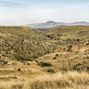 Explore 7 Days Taylor -Made Kenya Luxury  Safari for 7 days with Exciting Africa Holidays and discover unforgettable experiences - Photo 3