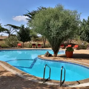 Explore 8 Days Kenya Tembo Safari To Amboseli-Olpejeta -Nakuru and Masai Mara for 8 days with Exciting Africa Holidays and discover unforgettable experiences - Photo 11