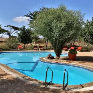 Explore 3-Day Kenya Lodge Safari - Amboseli Park for 3 days with Exciting Africa Holidays and discover unforgettable experiences - Photo 8