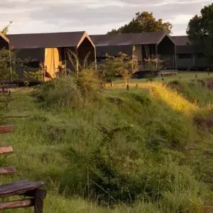 Explore 05 Days Kenya Budget Camping 4x4 Jeep Group Safari for 5 days with Exciting Africa Holidays and discover unforgettable experiences - Photo 3