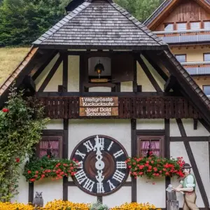 Explore France and Switzerland with Alsace and Black Forest for 9 days with Europamundo and discover unforgettable experiences - Photo 4