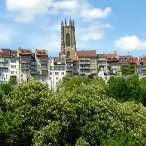 Explore Cote d Azur, Burgundy, Alsace and Black Forest for 7 days with Europamundo and discover unforgettable experiences - Photo 9