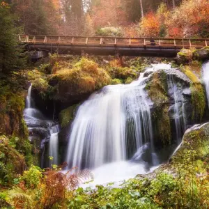 Explore Cote d Azur, Burgundy, Alsace and Black Forest for 7 days with Europamundo and discover unforgettable experiences - Photo 10