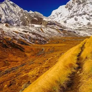 Explore Short Annapurna base camp Trek for 8 days with Exciting Nepal Treks and Expedition  and discover unforgettable experiences - Photo 3