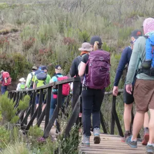 Explore “The Classic Kilimanjaro Trek – 6 Days via Marangu” for 6 days with Exodus African Safari and discover unforgettable experiences - Photo 4