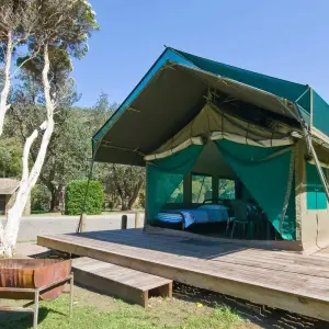 Explore 7 Days Serengeti Migration Safari Epic Adventure for 7 days with Exodus African Safari and discover unforgettable experiences - Photo 2