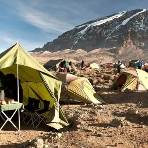 Explore Kilimanjaro Treks, 7-Days Lemosho Route for 7 days with Exodus African Safari and discover unforgettable experiences - Photo 2