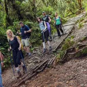 Explore 7 Days Kilimanjaro Climb - Machame Route for 7 days with Exodus African Safari and discover unforgettable experiences - Photo 6