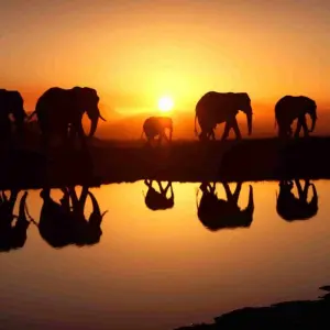 Explore 7 Days Serengeti Migration Safari Epic Adventure for 7 days with Exodus African Safari and discover unforgettable experiences - Photo 4