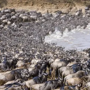 Explore 5 Days Marangu Route on Kilimanjaro (Coca- Cola route) for 5 days with Exodus African Safari and discover unforgettable experiences - Photo 7