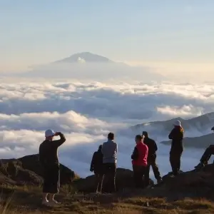 Explore Kilimanjaro Treks, 7-Days Lemosho Route for 7 days with Exodus African Safari and discover unforgettable experiences - Photo 4