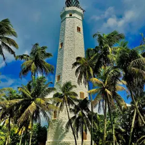 Explore Timeless Wonders of Sri Lanka for 10 days with Exotic Perla and discover unforgettable experiences - Photo 3