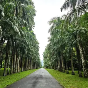 Explore Ultimate Adventure in Sri Lanka for 8 days with Exotic Perla and discover unforgettable experiences - Photo 4