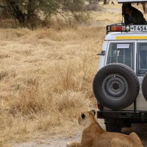 Explore 5 Days Marangu Route on Kilimanjaro (Coca- Cola route) for 5 days with Exodus African Safari and discover unforgettable experiences - Photo 8