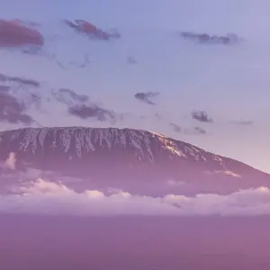 Explore Kilimanjaro Climb, 8-Days Lemosho Route for 8 days with Exodus African Safari and discover unforgettable experiences - Photo 5