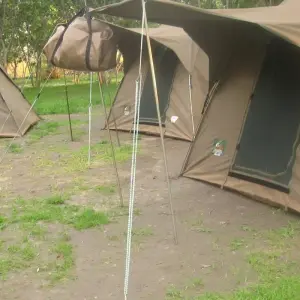 Explore 4-Days Tanzania Mid - Range Safari for 4 days with Exodus African Safari and discover unforgettable experiences - Photo 7