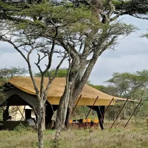 Explore 5 Days Tanzania Budget Camping Safari for 5 days with Exodus African Safari and discover unforgettable experiences - Photo 7