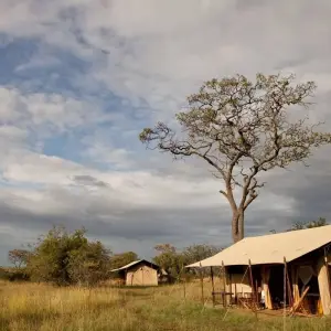 Explore 5 Days Tanzania Private Camping Safari for 5 days with Exodus African Safari and discover unforgettable experiences - Photo 6