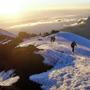 Explore Kilimanjaro Treks, 7-Days Lemosho Route for 7 days with Exodus African Safari and discover unforgettable experiences - Photo 7