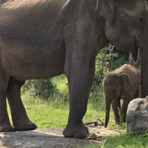 Explore Grand Discovery of Sri Lanka for 12 days with Exotic Perla and discover unforgettable experiences - Photo 6