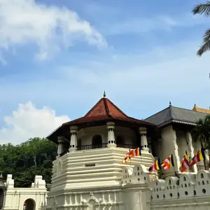 Explore Ultimate Adventure in Sri Lanka for 8 days with Exotic Perla and discover unforgettable experiences - Photo 7