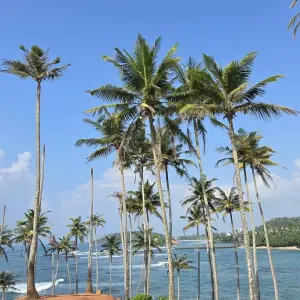 Explore Sri Lanka in a Snapshot for 7 days with Exotic Perla and discover unforgettable experiences - Photo 7