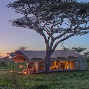 Explore 6 Days - Highlights of Tanzania Safari Adventure for 6 days with Exodus African Safari and discover unforgettable experiences - Photo 9