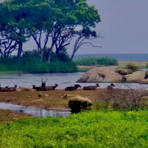 Explore Timeless Wonders of Sri Lanka for 10 days with Exotic Perla and discover unforgettable experiences - Photo 7