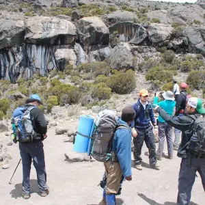 Explore Kilimanjaro Treks, 7-Days Lemosho Route for 7 days with Exodus African Safari and discover unforgettable experiences - Photo 9