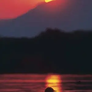 Explore Zambezi Canoe Safari for 8 days with Exodus Adventure Travels and discover unforgettable experiences - Photo 3