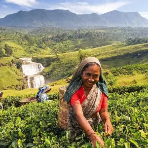 Explore Timeless Wonders of Sri Lanka for 10 days with Exotic Perla and discover unforgettable experiences - Photo 8