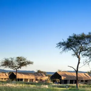 Explore 5 Days Tanzania Private Camping Safari for 5 days with Exodus African Safari and discover unforgettable experiences - Photo 10