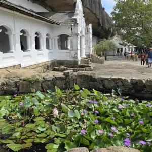 Explore Majestic Encounters in Sri Lanka for 9 days with Exotic Perla and discover unforgettable experiences - Photo 6