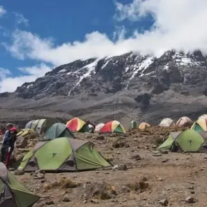 Explore Kilimanjaro Climb, 8-Days Lemosho Route for 8 days with Exodus African Safari and discover unforgettable experiences - Photo 11