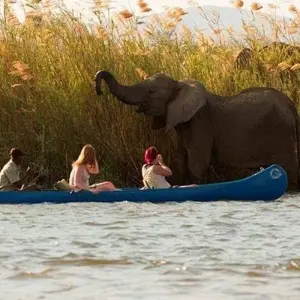 Explore Zambezi Canoe Safari for 8 days with Exodus Adventure Travels and discover unforgettable experiences - Photo 10