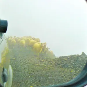 Explore Tusheti off-road journey for 6 days with Exotour Georgia and discover unforgettable experiences - Photo 3