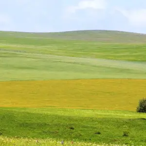 Explore Armenia & Georgia Combination - A Journey through the Ancient Lands for 10 days with Exotour Georgia and discover unforgettable experiences - Photo 10