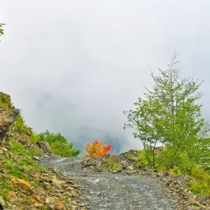 Explore Tusheti off-road journey for 6 days with Exotour Georgia and discover unforgettable experiences - Photo 4