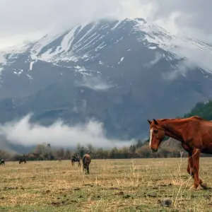 Explore Private adventure journey to Georgia for 7 days with Exotour Georgia and discover unforgettable experiences - Photo 5