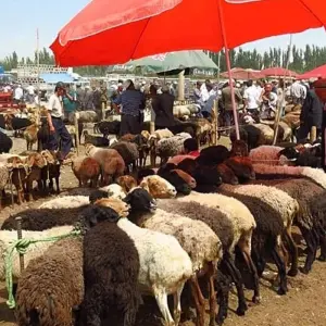 Explore The Silk Road for 16 days with Exodus Adventure Travels and discover unforgettable experiences - Photo 2