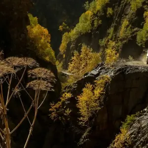 Explore Hidden Pearls of Georgia: Travel the Unbeaten Path for 5 days with Exotour Georgia and discover unforgettable experiences - Photo 9