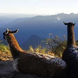 Explore The Inca Trail for 8 days with Exodus Adventure Travels and discover unforgettable experiences - Photo 9