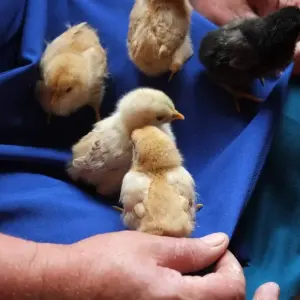 Explore Private adventure journey to Georgia for 7 days with Exotour Georgia and discover unforgettable experiences - Photo 9