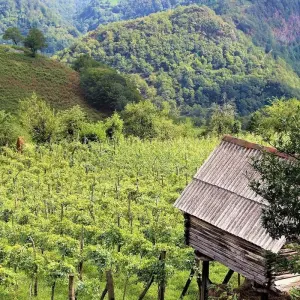 Explore Private adventure journey to Georgia for 7 days with Exotour Georgia and discover unforgettable experiences - Photo 11